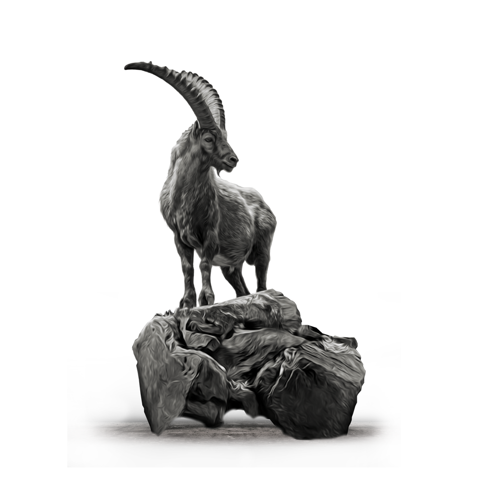 Black Ibex Design Agency
